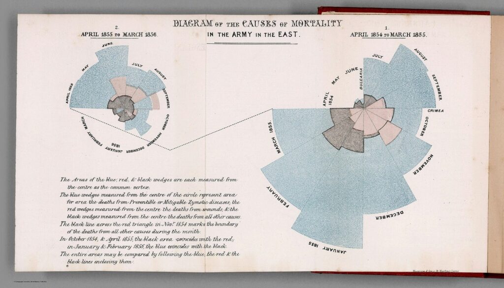 Diagramma circolare a spicchi di Florence Nightingale sulle cause di morte dei soldati